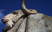 Goulburn Translation Services