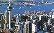Auckland translation service